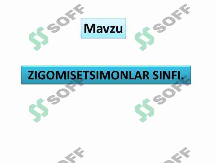 Zigomitsetsimonlar sinfi 1