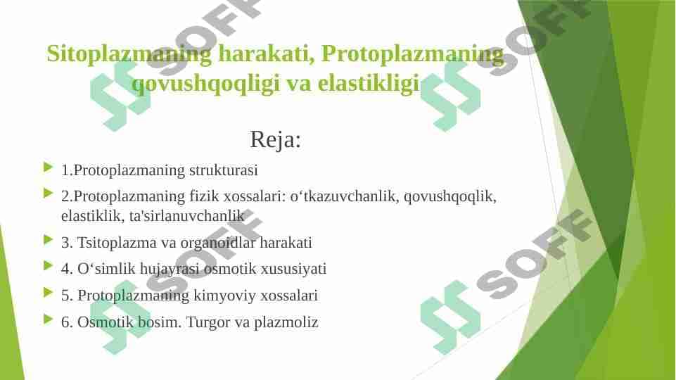 Sitoplazma uning zamonaviy modeli  vakuola,plastida,mitoxondriya,Ribosoma,peroksisoma,Lizosoma,endoplazmatik tor Golji apparati 1