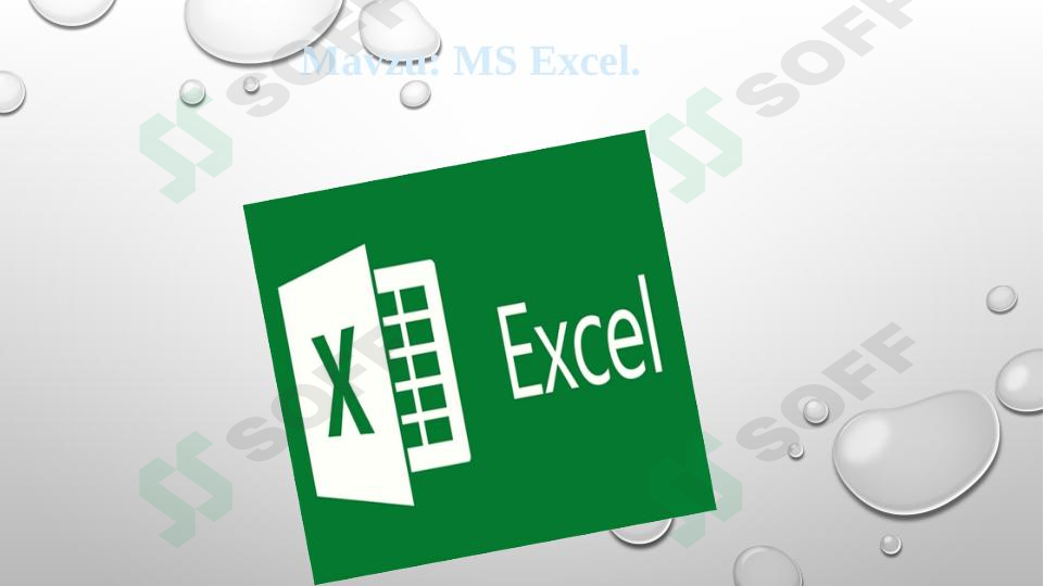 MS Excel 1