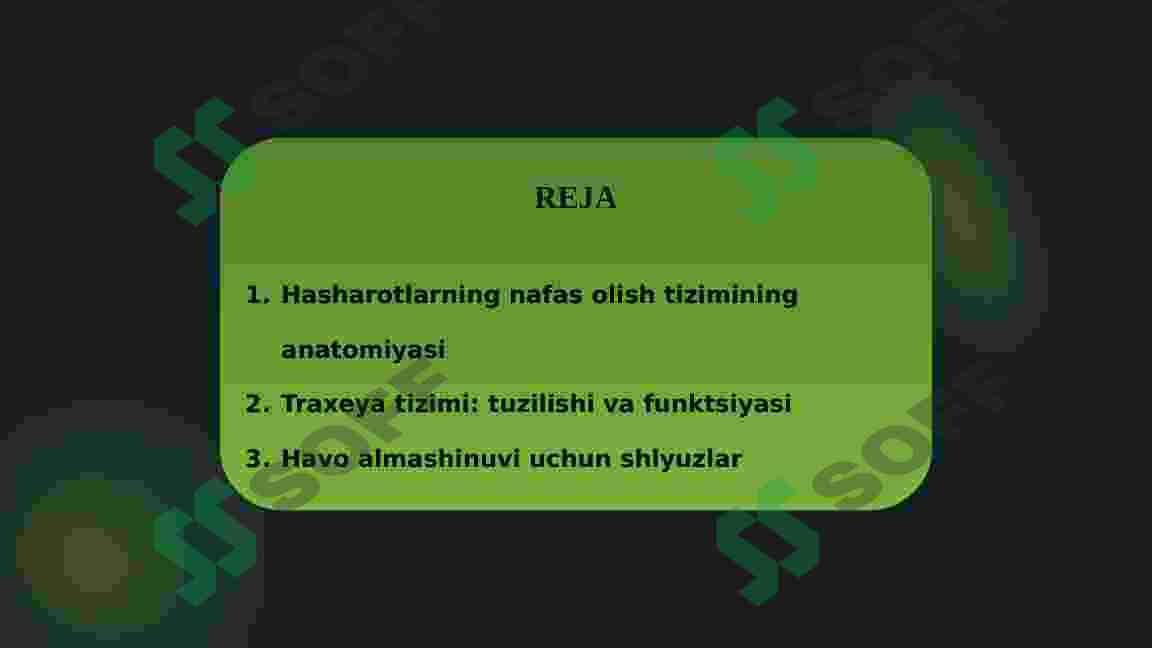 Hasharotlarning nafas olish sistemasi 2