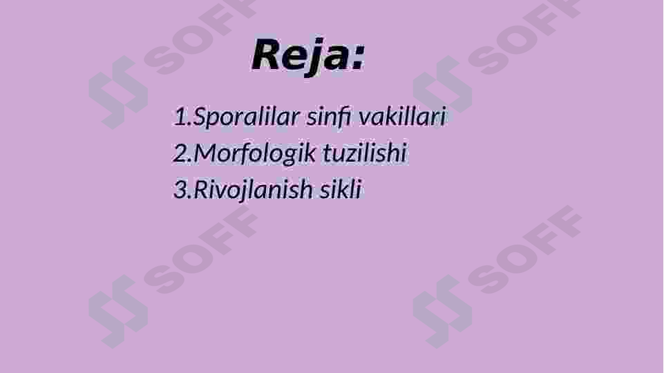 Sporalilar sinfi 2