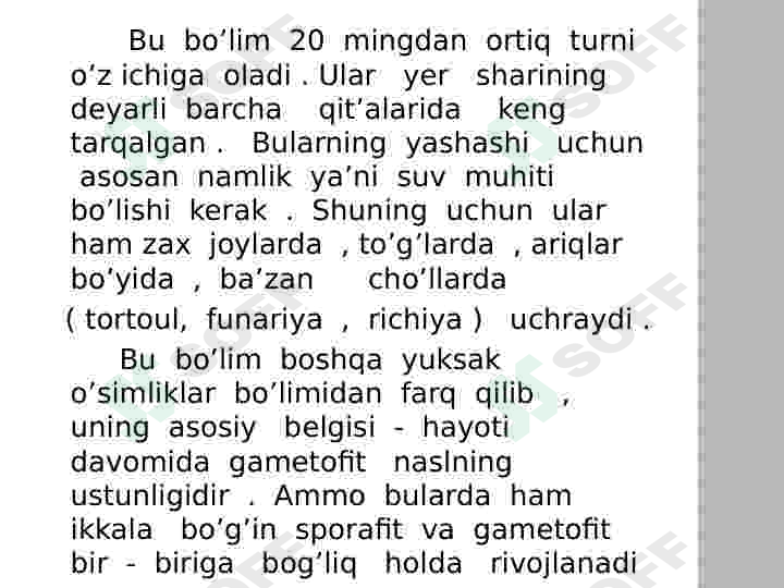 Yoʻsintoifa  sinfi 2