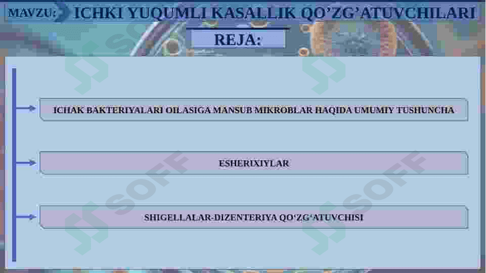 ICHAK YUQUMLI KASALLIK QO’ZG’ATUVCHILARI. ESHERIXIOZLAR, ICHBURUG’ KASALLIKLARINI LABARATOR TASHXISI 2