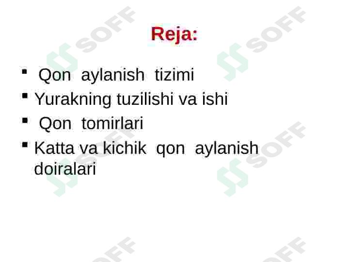 Yurak qon tomir tizimi 2