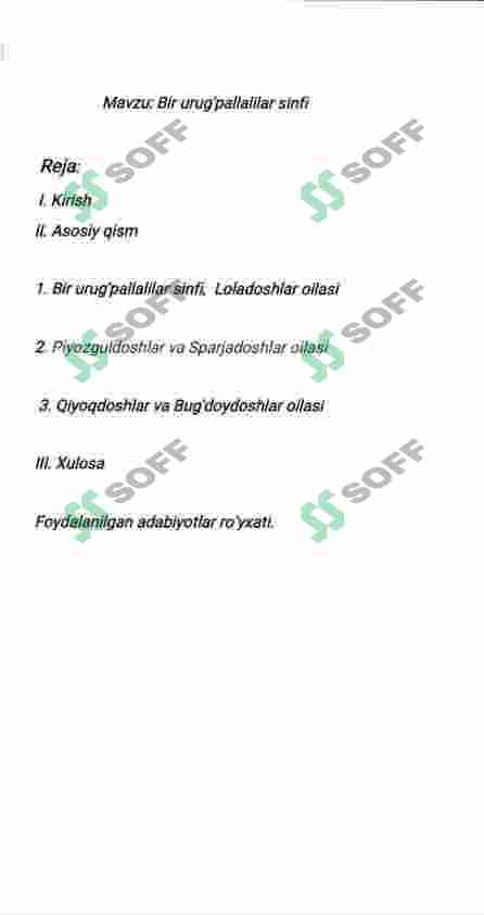 Bir urugʻ pallalilar sinfi 3