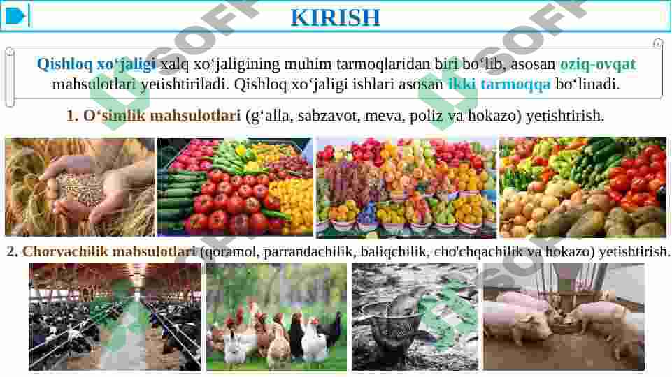 QISHLOQ XO'JALIGIDA MEHNAT GIGIYENASI. PESTITSIDLAR HAQIDA TUSHUNCHA 3