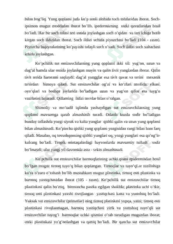 Sut emizuvchilarning sinfining umumiy ta’rifi, tashqi tuzilishi,skelet va muskulaturasi 3