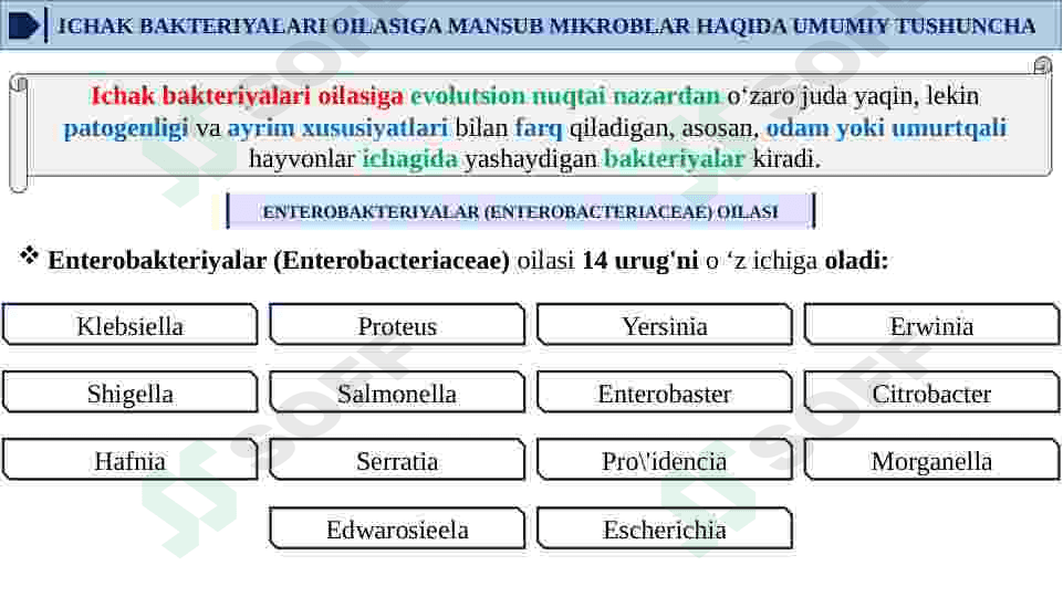 ICHAK YUQUMLI KASALLIK QO’ZG’ATUVCHILARI. ESHERIXIOZLAR, ICHBURUG’ KASALLIKLARINI LABARATOR TASHXISI 3