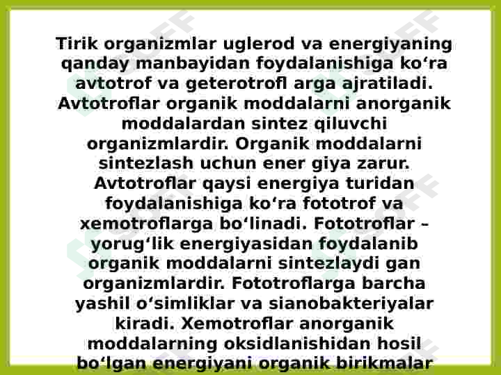 Oziqlanish. Oziqlanish turlari 3