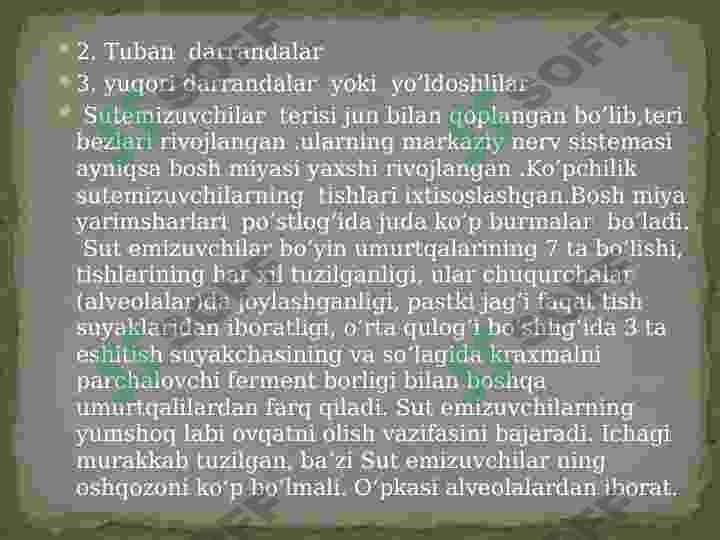Sutemizuvchilar sinfi 4
