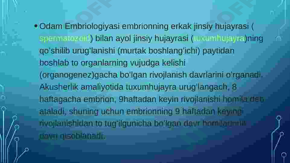 Embrional rivojlanish. Urug’lanish. Maydalanish. Gastriluatsiya. 4