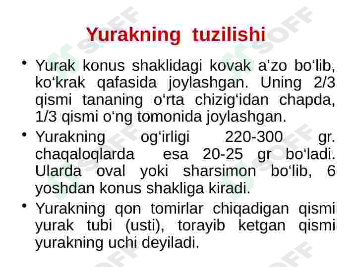 Yurak qon tomir tizimi 4