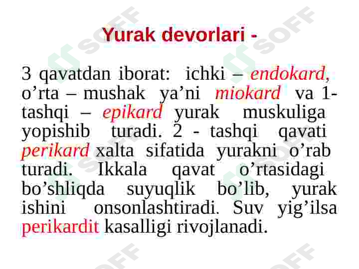 Yurak qon tomir tizimi 5