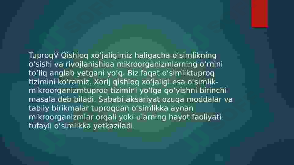 Preview 5