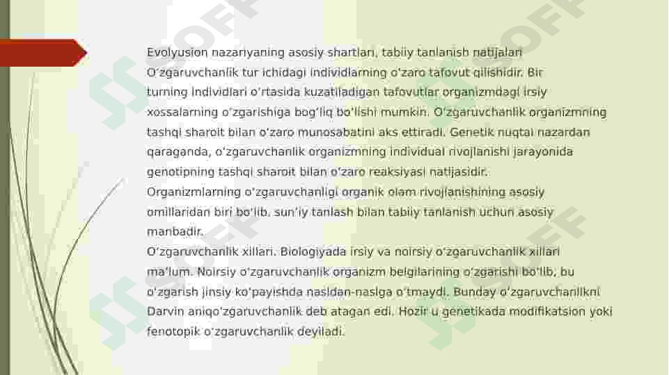 Preview 5