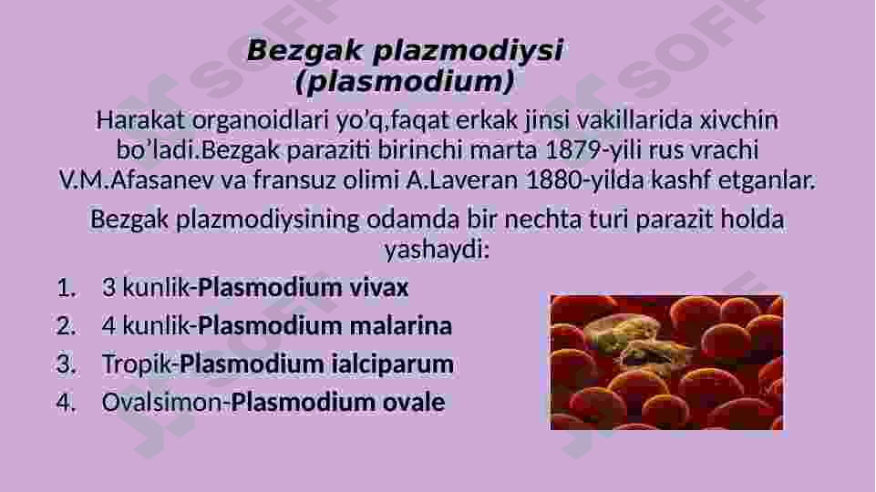 Sporalilar sinfi 5
