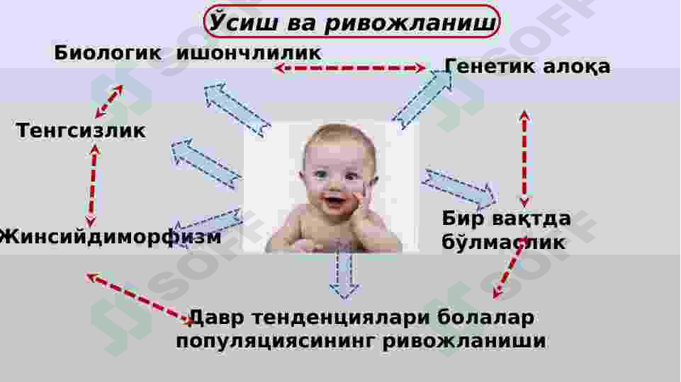 Асосий муаммолар болалар ва ўсмирлар гигиенаси. 5