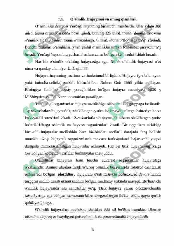 Preview 5