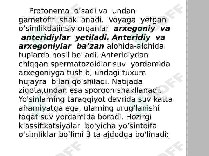 Yoʻsintoifa  sinfi 6