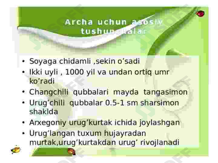 Sarvnamolar qabilasi 6