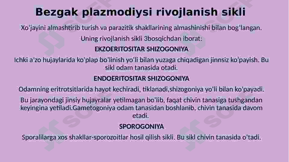 Sporalilar sinfi 6