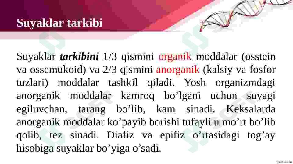 Preview 6