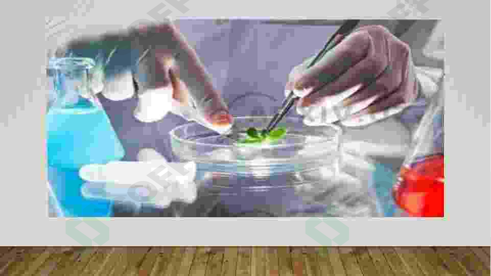 Oqsillar va antibiotiklar ishlab chiqarish biotexnologiyasi 6