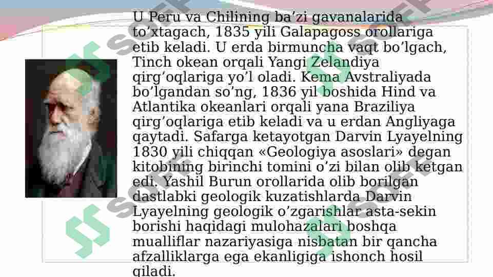 Preview 7