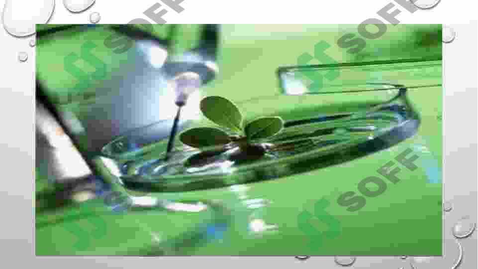 Preview 7