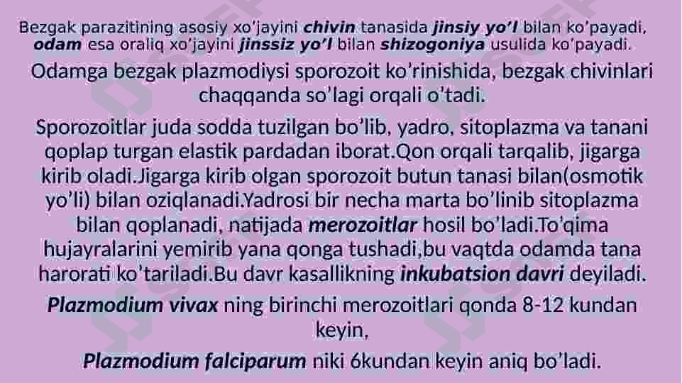 Sporalilar sinfi 7