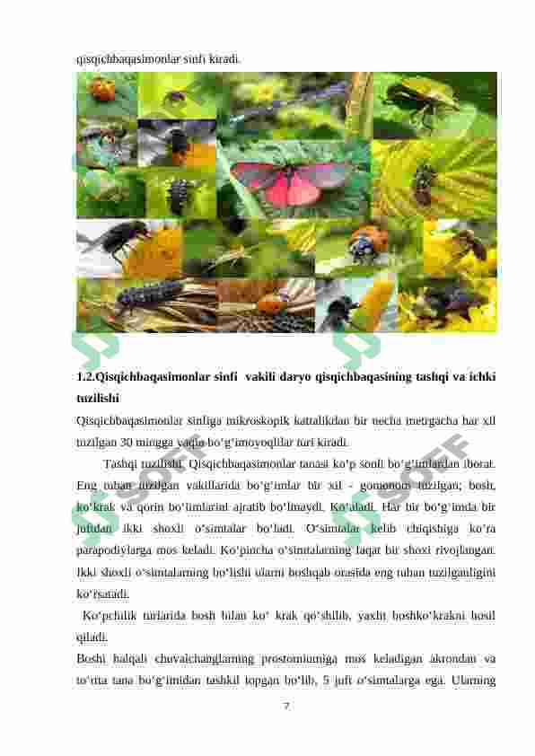 Preview 7