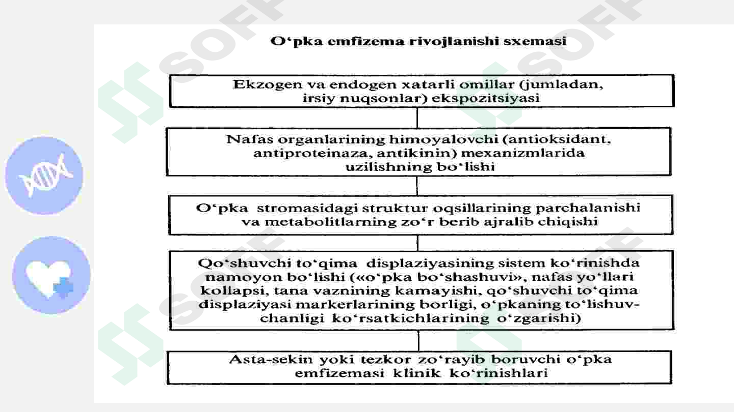 o'pka emfizemasi 7