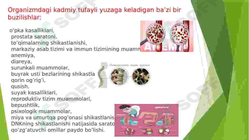 Preview 8