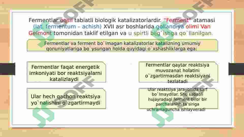 Preview 8