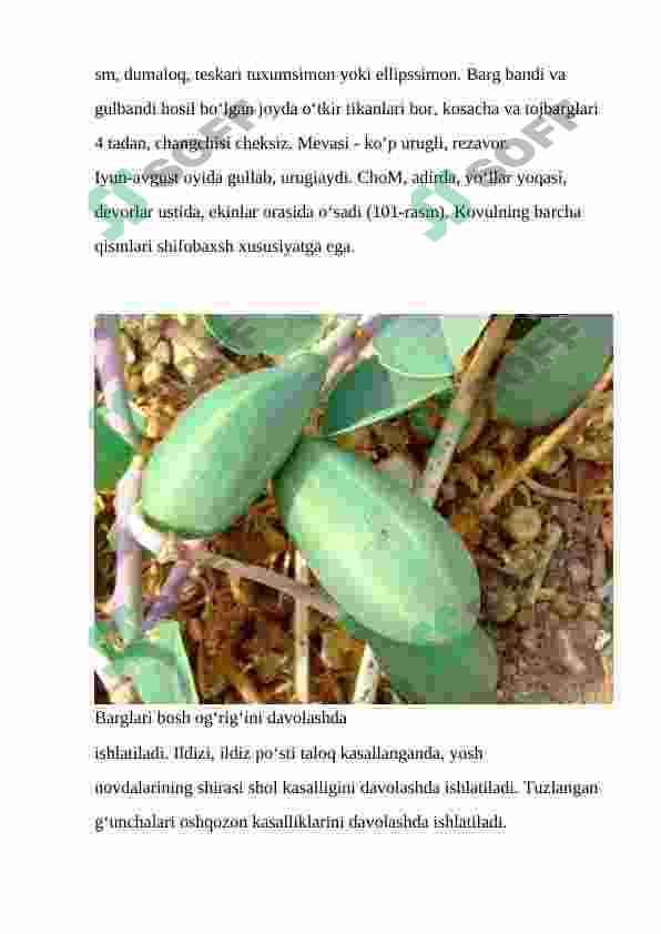 Kovulnamolar qabilasi 8