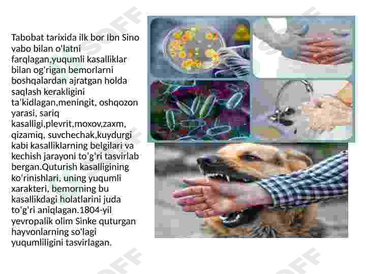 Preview 8