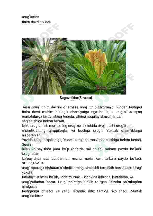 Preview 8