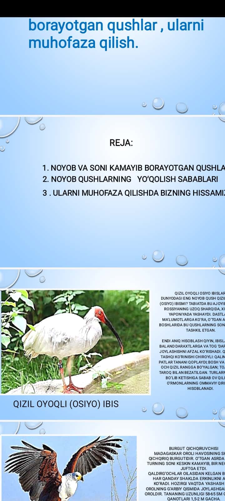 Noyob va soni kamayib borayotgan qushlar , ularni muhofaza qilish. 1