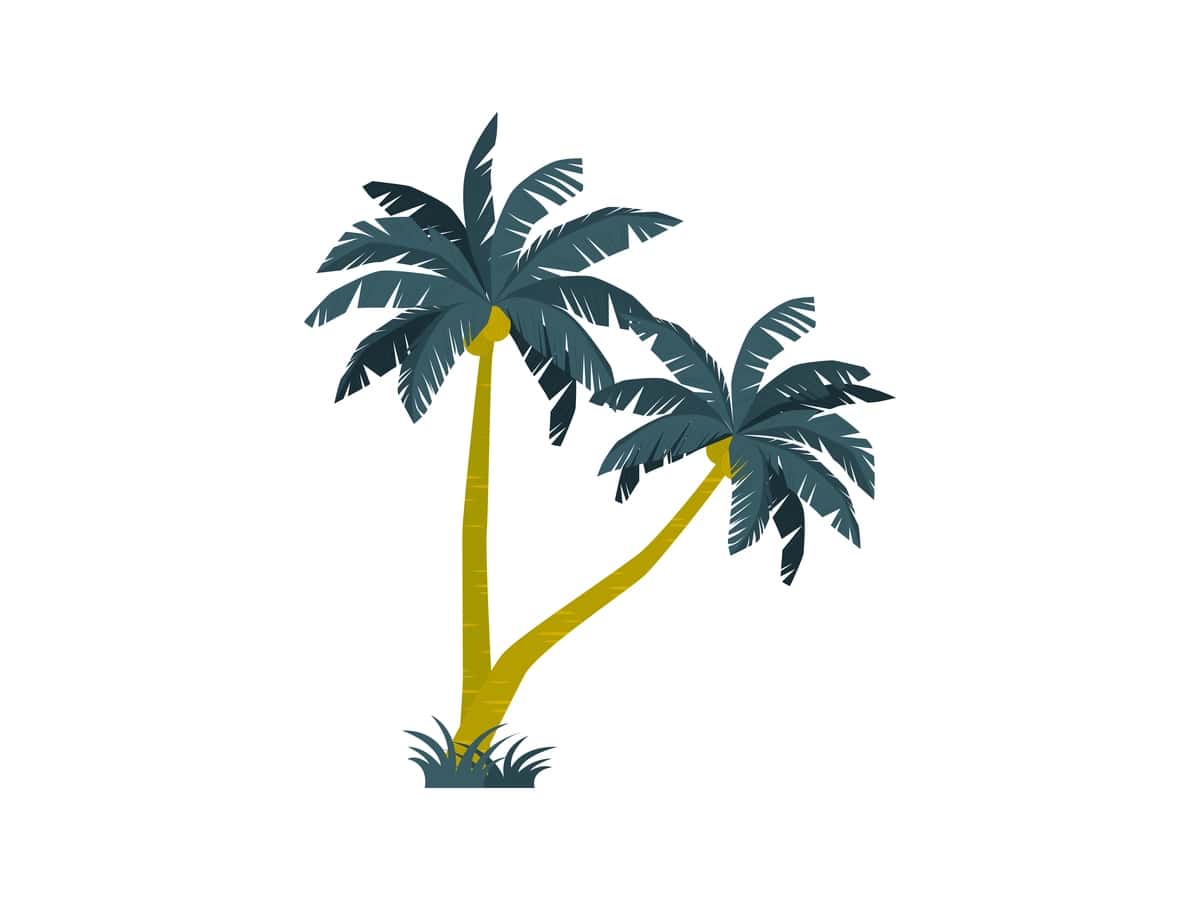 Tropik palma daraxti vektor tasviri orol tabiati ekzotik plyaj | Tropical palm tree vector illustration island nature exotic beach 1