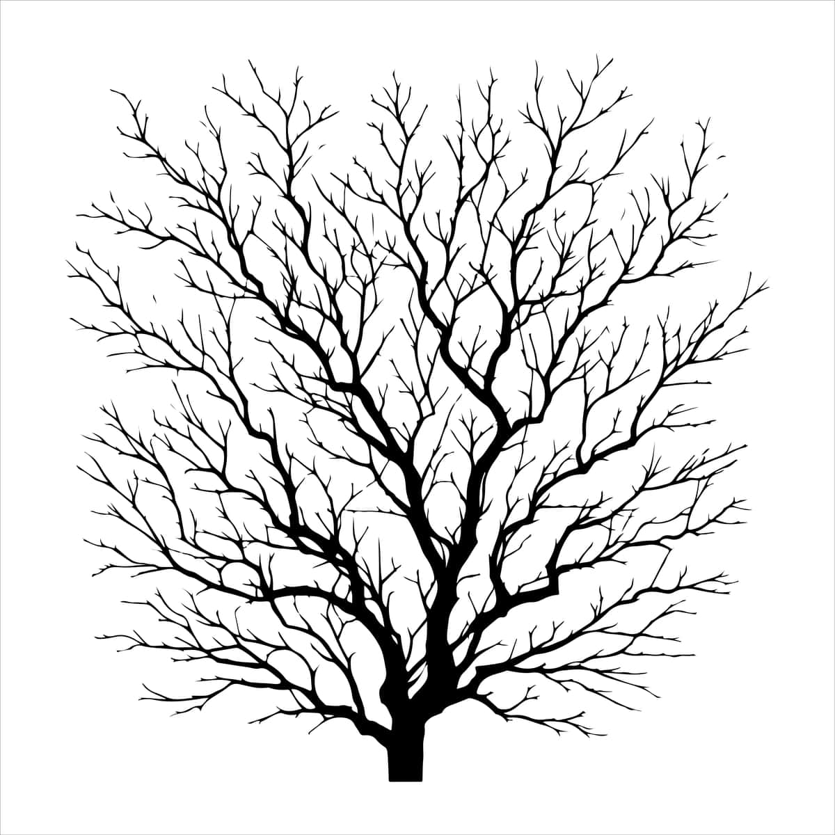 Minimal yalang'och daraxt vektor shoxlari izolyatsiya qilingan o'lik daraxt silueti | Minimal naked tree vector branches silhouette dead tree isolated 1