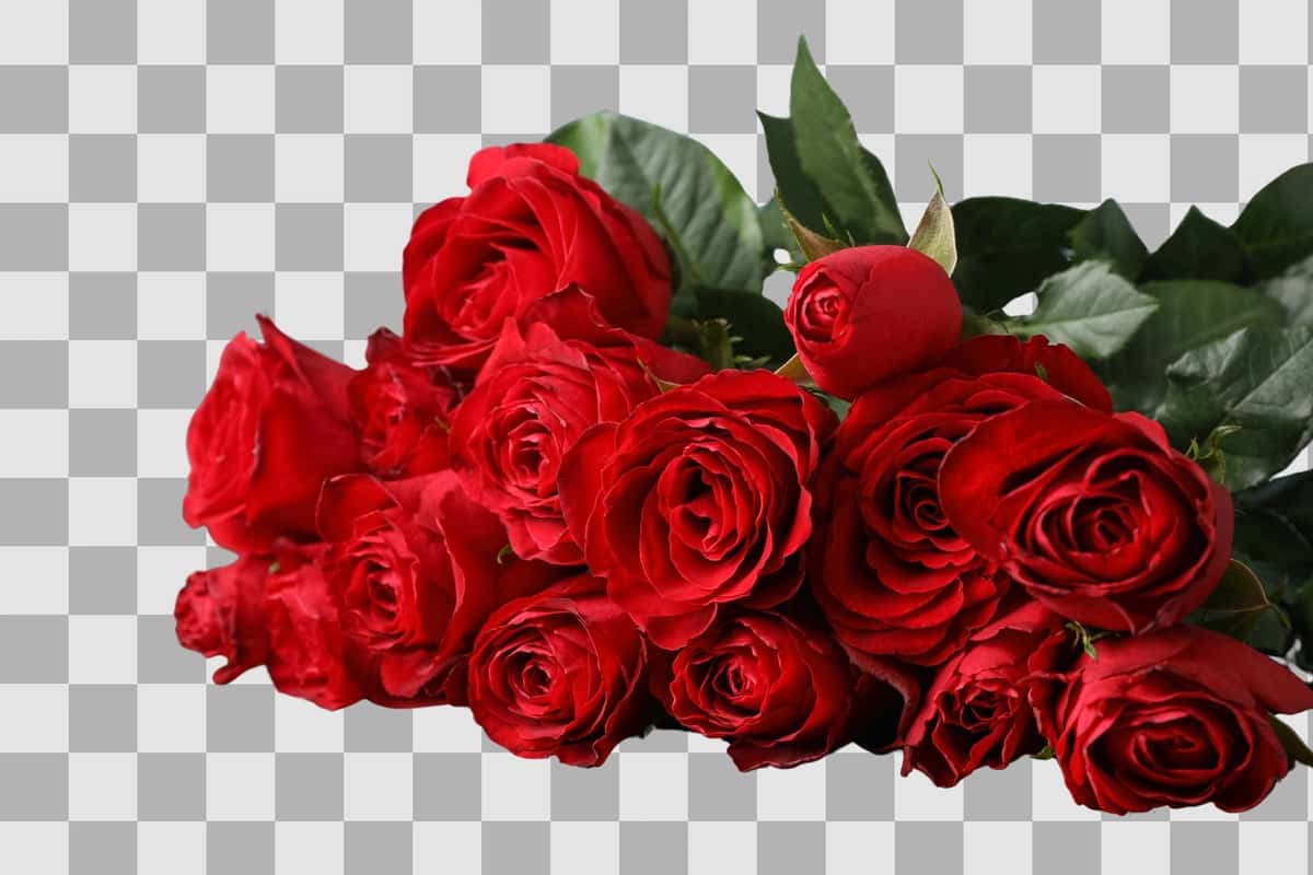 Yotgan guldasta qizil atirgullar izolyatsiya qilingan oq fon png | Lying bouquet red roses isolated white background png 1