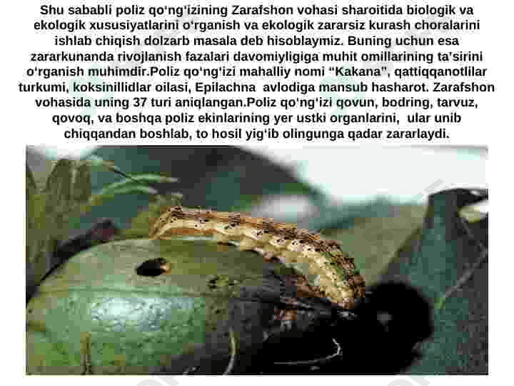 Poliz ekinlarining so'ruvchi zararkunandalari va ularga qarshi kurashish choralari 3