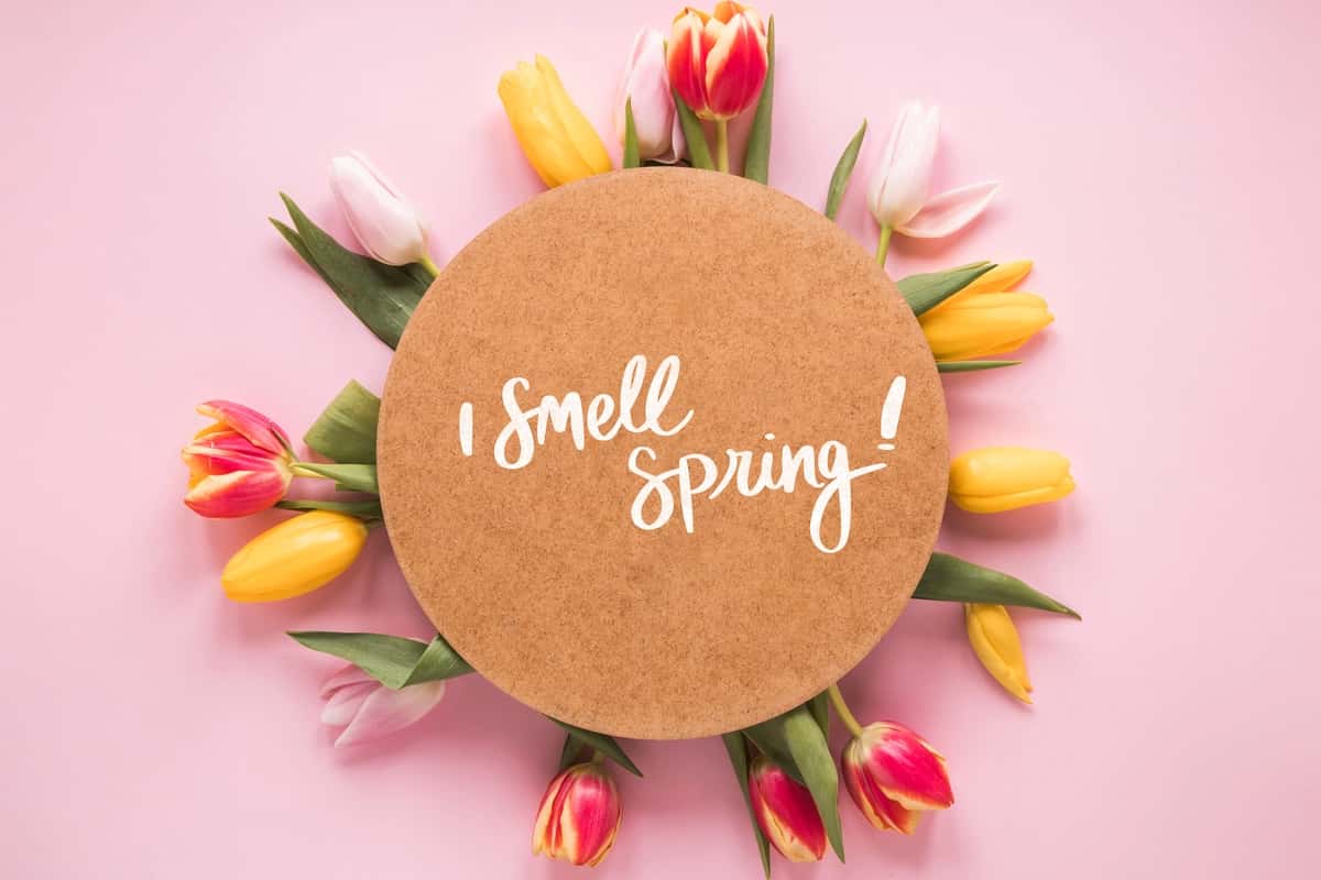 Yassi yotqizilgan dumaloq kartochka maketi bahor | Flat lay round card mockup spring 1