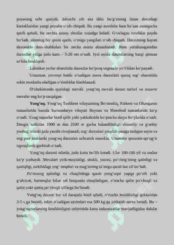 Preview 7