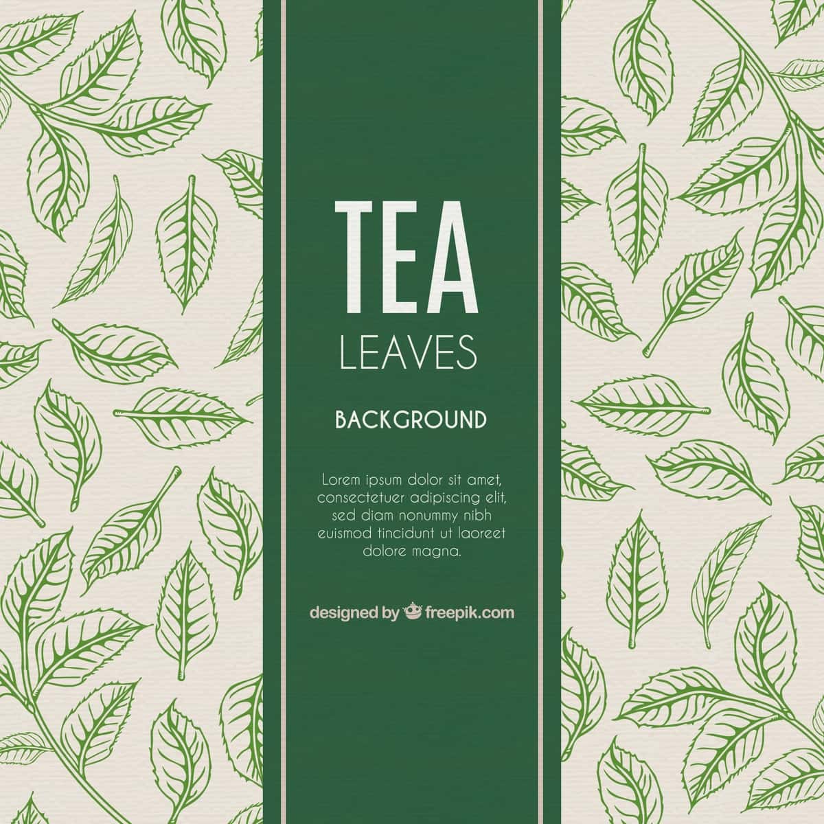 Choy barglari fonida qo'lda chizilgan uslub | Tea leaves background hand drawn style 1