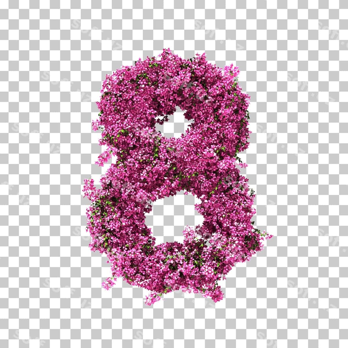 3D render buvaynvoleta 8-raqam | 3d rendering bougainvillea number 8 1