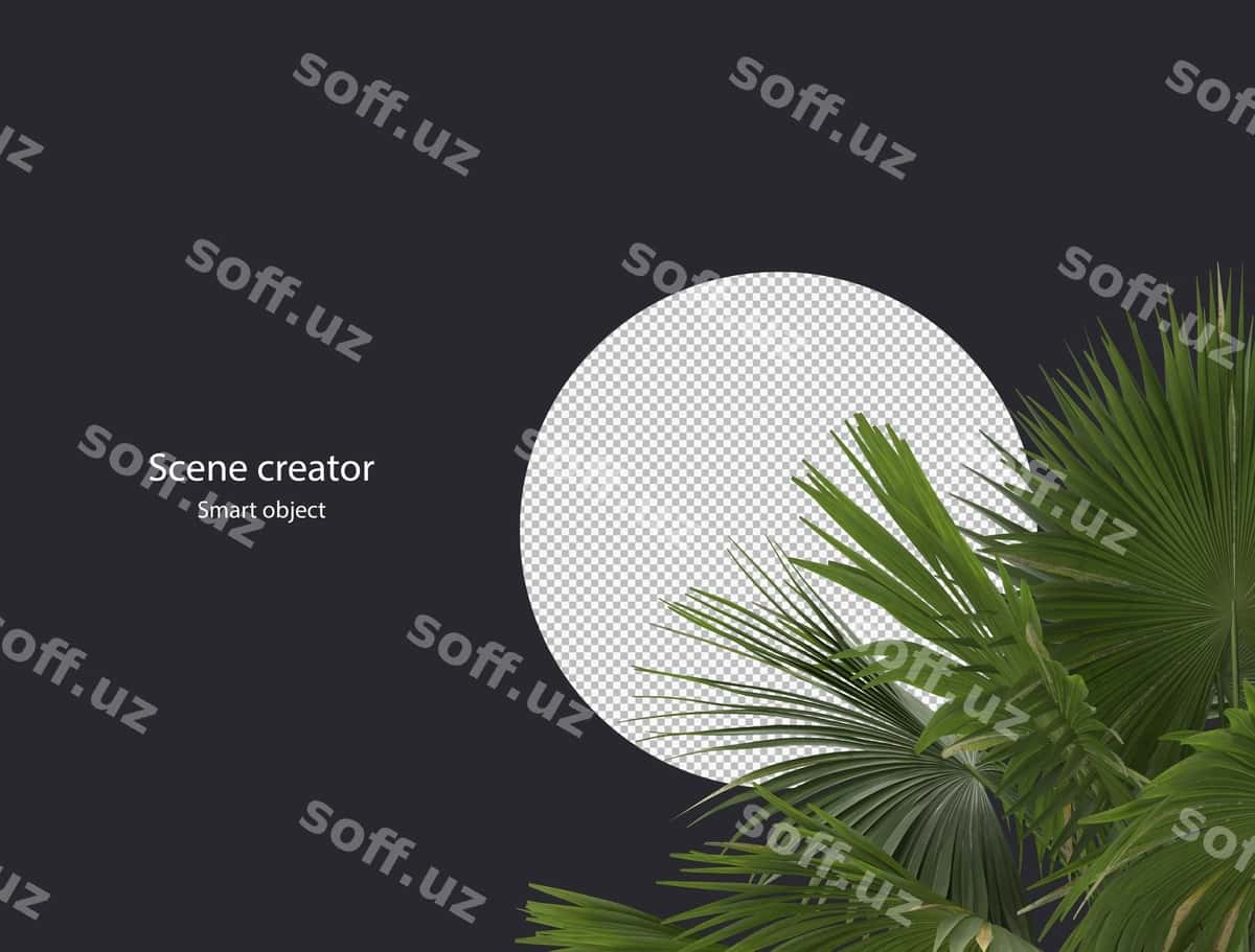 3d daraxt tarmogi ayrilgan | 3d tree branch isolated 1