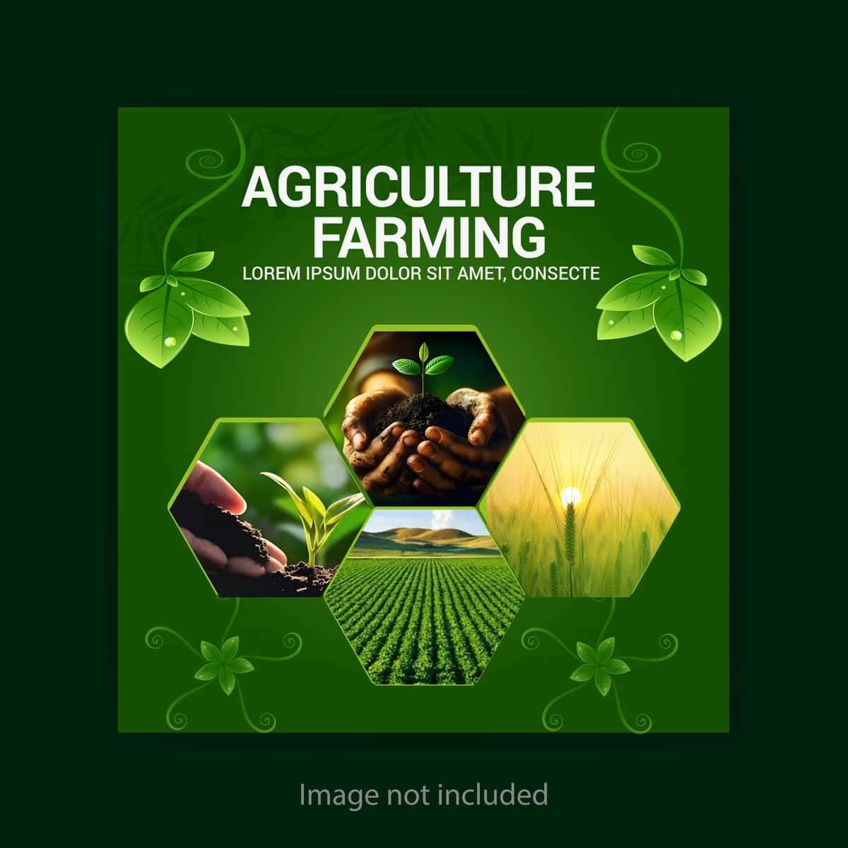 Qishloq xo'jaligi ijtimoiy media post dizayni | Agriculture farming social media post design 1