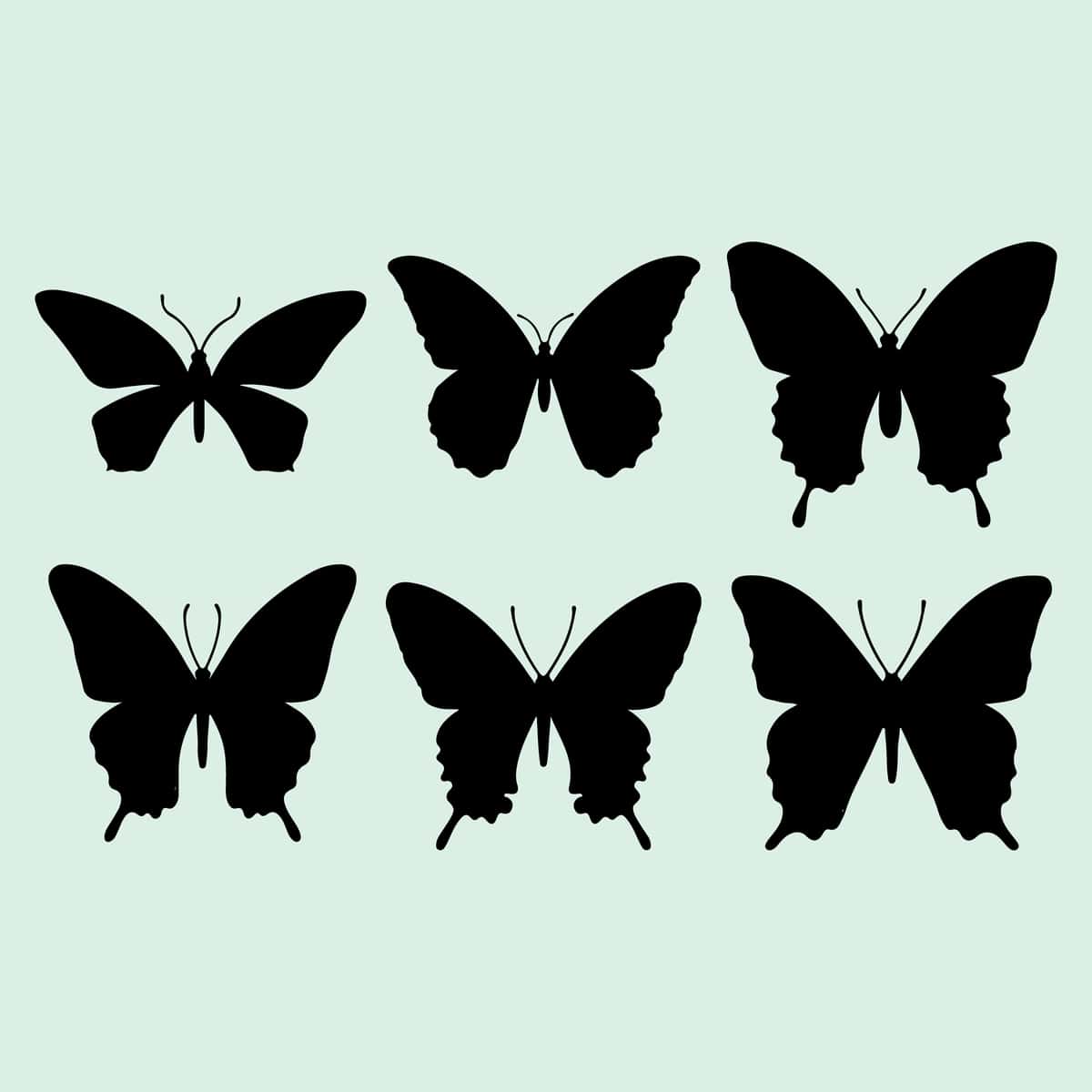 Kapalak qora silueti turli xil uchuvchi kapalaklarni o'rnatdi | Butterfly black silhouette set different types flying butterfly 1