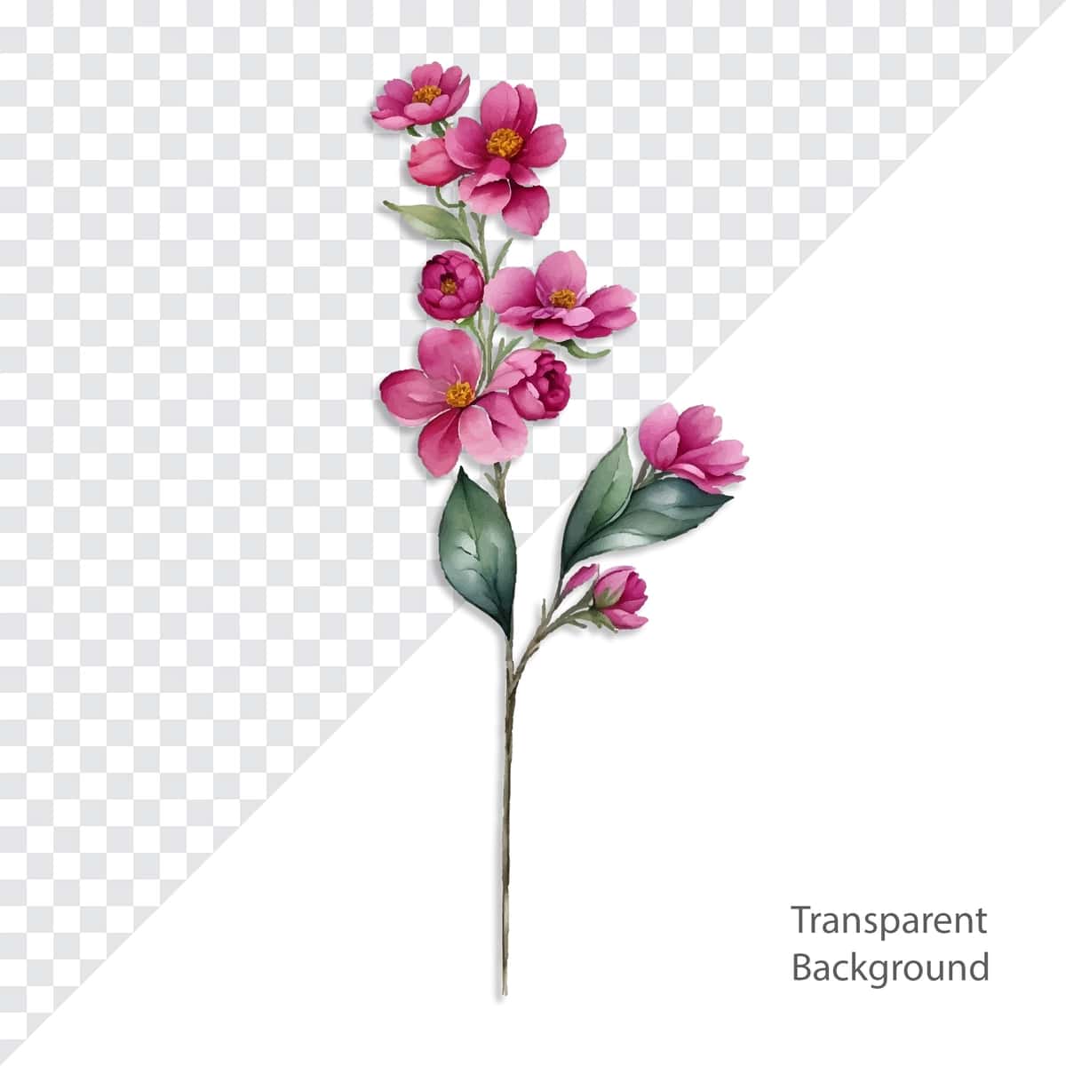 Psd gul rasmlari shaffof fon | Psd flower illustration transparent background 1